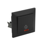 ΜΠΟΥΤΟΝ ΚΛΙΜΑΚΟΣΤΑΣΙΟΥ 10Α ΜΕ ΛΥΧΝΙΑ ΠΛΗΡΗΣ ΑΝΘΡΑΚΙ - 15-070001