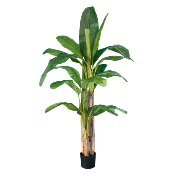 GloboStar® Artificial Garden BANANA TREE 20017 - Tεχνητό Διακοσμητικό Φυτό Μπανανιά - Μπανανόδεντρο Υ180cm