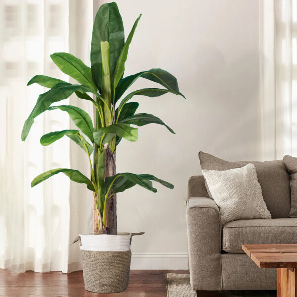 GloboStar® Artificial Garden BANANA TREE 20017 - Tεχνητό Διακοσμητικό Φυτό Μπανανιά - Μπανανόδεντρο Υ180cm - Image 5