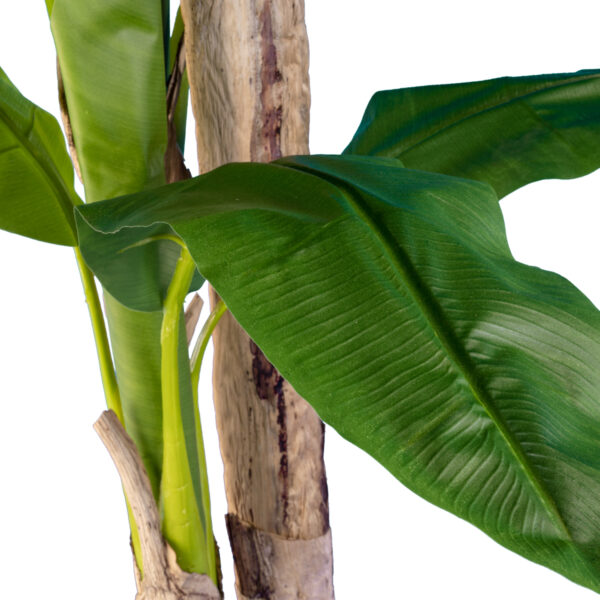 GloboStar® Artificial Garden BANANA TREE 20017 - Tεχνητό Διακοσμητικό Φυτό Μπανανιά - Μπανανόδεντρο Υ180cm - Image 2