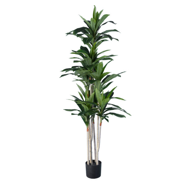 GloboStar® Artificial Garden DRACAENA SILK 20044 - Τεχνητό Διακοσμητικό Φυτό Δράκαινα Υ170cm