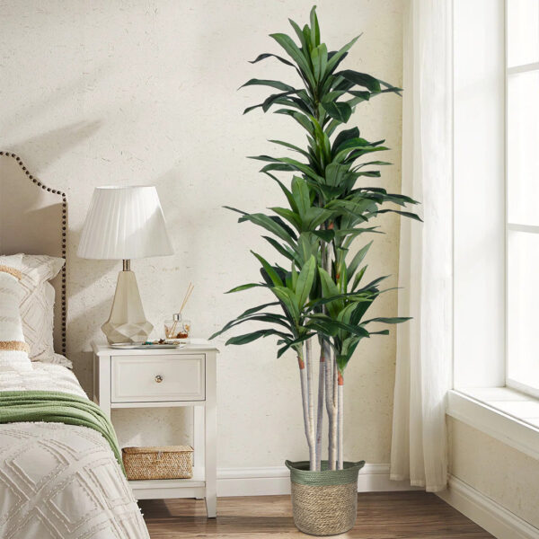 GloboStar® Artificial Garden DRACAENA SILK 20044 - Τεχνητό Διακοσμητικό Φυτό Δράκαινα Υ170cm - Image 5