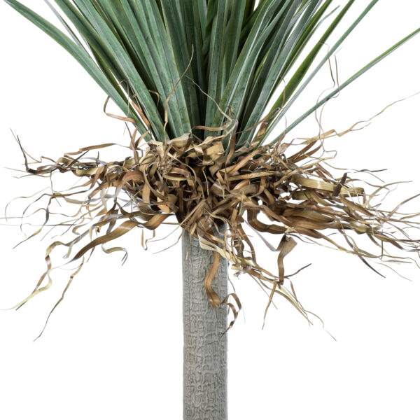 GloboStar® Artificial Garden BEAUCARNEA PALM TREE 20047 Τεχνητό Διακοσμητικό Φυτό Κυρτόφυλλος Μπουκαρνέα Υ200cm - Image 3