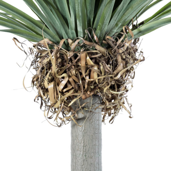 GloboStar® Artificial Garden BEAUCARNEA PALM TREE 20048 Τεχνητό Διακοσμητικό Φυτό Κυρτόφυλλος Μπουκαρνέα Υ250cm - Image 3