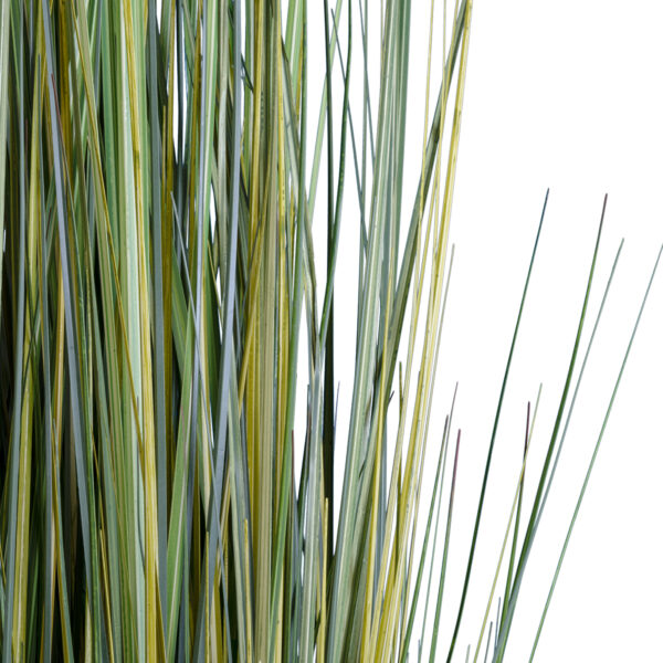 GloboStar® Artificial Garden PAMPAS GRASS 20072 Τεχνητό Διακοσμητικό Φυτό Γρασίδι της Πάμπας Υ170cm - Image 2