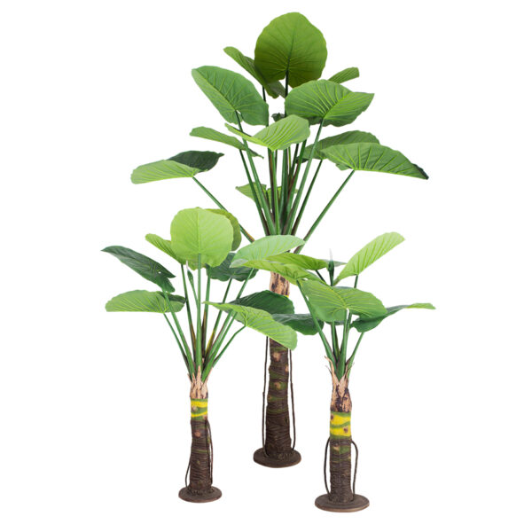 GloboStar® Artificial Garden TARO SET 20089 Τεχνητό Διακοσμητικό Σετ Φυτών Κολοκασία A:Υ300cm B:Υ210cm C:Υ160cm