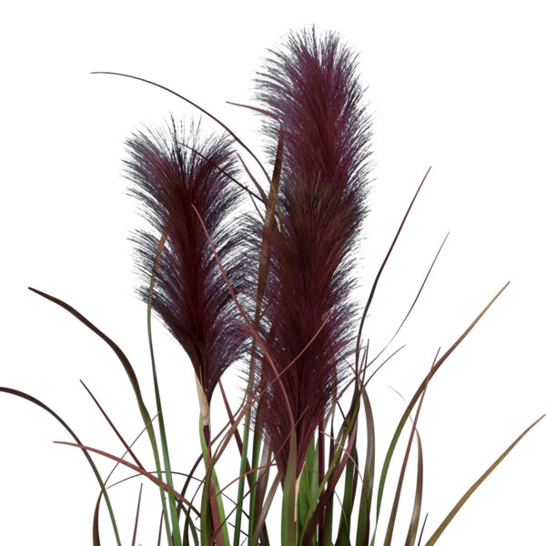 GloboStar® Artificial Garden BLOODY PAMPAS GRASS 20109 Τεχνητό Διακοσμητικό Φυτό Αιματόφυλλο Γρασίδι της Πάμπας Υ85cm - Image 2