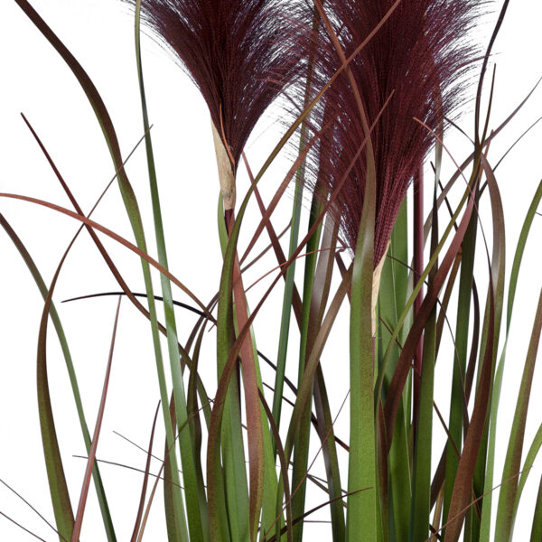 GloboStar® Artificial Garden BLOODY PAMPAS GRASS 20109 Τεχνητό Διακοσμητικό Φυτό Αιματόφυλλο Γρασίδι της Πάμπας Υ85cm - Image 3