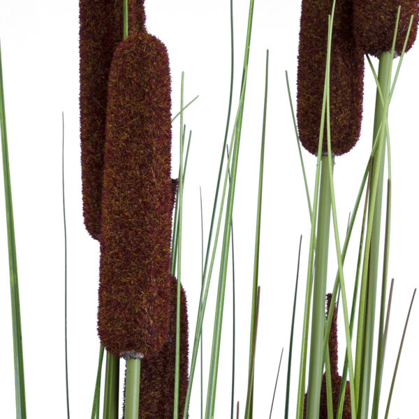 GloboStar® Artificial Garden TYPHA ANGUSTIFOLIA GRASS 20113 Τεχνητό Διακοσμητικό Φυτό Γρασίδι της Τύφας Υ150cm - Image 2