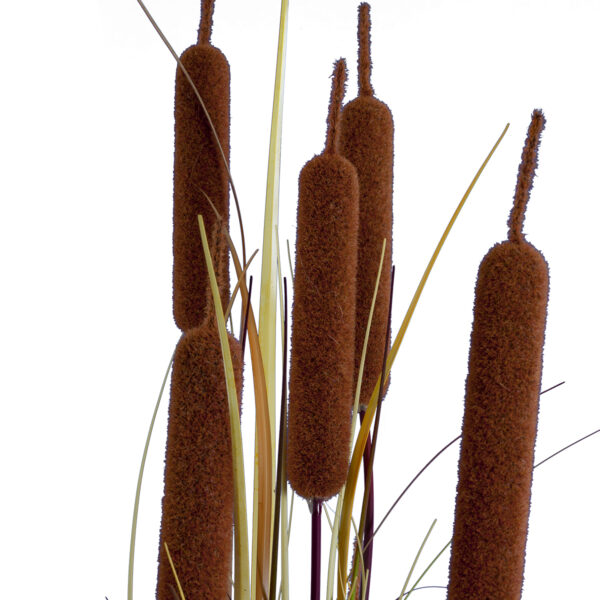 GloboStar® Artificial Garden TYPHA ANGUSTIFOLIA GRASS 20114 Τεχνητό Διακοσμητικό Φυτό Γρασίδι της Τύφας Υ150cm - Image 2