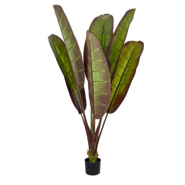 GloboStar® Artificial Garden BLOODY BANANA TREE 20117 - Τεχνητό Διακοσμητικό Φυτό Αιματόφυλλη Μπανανιά - Μπανανόδεντρο Υ160cm