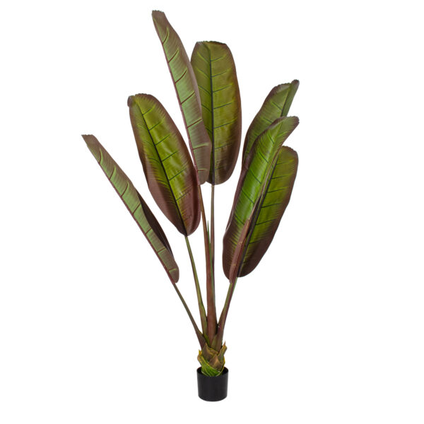 GloboStar® Artificial Garden BLOODY BANANA TREE 20118 - Τεχνητό Διακοσμητικό Φυτό Αιματόφυλλη Μπανανιά - Μπανανόδεντρο Υ190cm