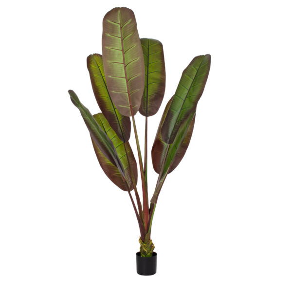 GloboStar® Artificial Garden BLOODY BANANA TREE 20119 - Τεχνητό Διακοσμητικό Φυτό Αιματόφυλλη Μπανανιά - Μπανανόδεντρο Υ220cm