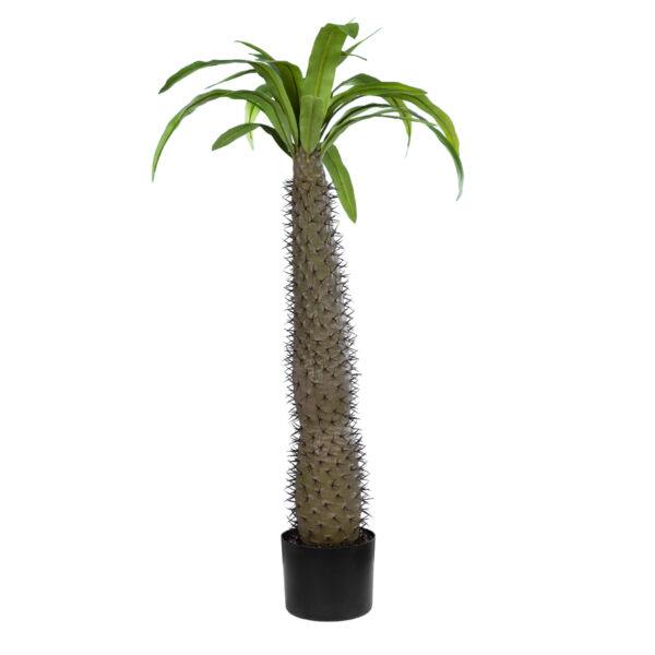 GloboStar® Artificial Garden PACHYPODIUM LAMEREI PALM TREE 20129 Τεχνητό Διακοσμητικό Φυτό Φοίνικας της Μαγαδασκάρης Υ105cm