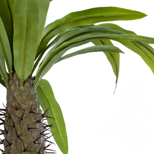 GloboStar® Artificial Garden PACHYPODIUM LAMEREI PALM TREE 20129 Τεχνητό Διακοσμητικό Φυτό Φοίνικας της Μαγαδασκάρης Υ105cm - Image 2