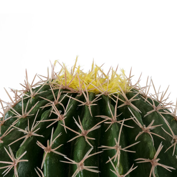 GloboStar® Artificial Garden FEROCACTUS 20136 Τεχνητό Διακοσμητικό Φυτό Φερόκακτος Υ55cm - Image 3