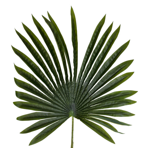 GloboStar® Artificial Garden SERENOA PALM LEAF 20173 Τεχνητό Διακοσμητικό Φύλο Φοινικόδεντρου Σερενόα Βεντάλια Π47 x Υ120cm - Image 2