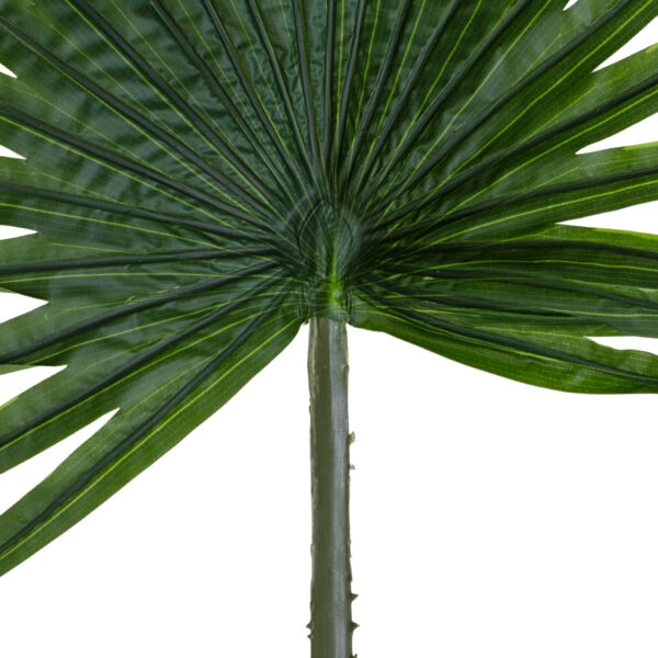 GloboStar® Artificial Garden SERENOA PALM LEAF 20174 Τεχνητό Διακοσμητικό Φύλο Φοινικόδεντρου Σερενόα Βεντάλια Π90 x Υ170cm - Image 2