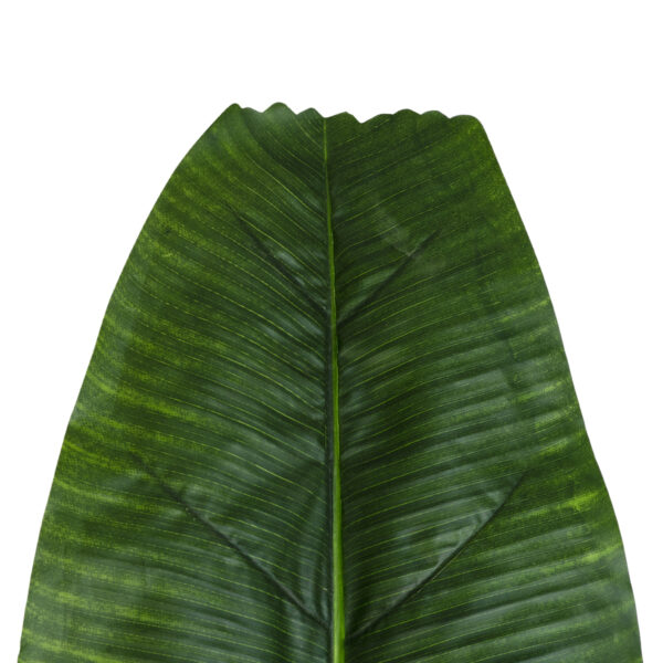 GloboStar® Artificial Garden BANANA TREE LEAF 20177 - Τεχνητό Διακοσμητικό Φύλο Μπανανιάς - Μπανανόδεντρου Π30 x Υ100cm - Image 2