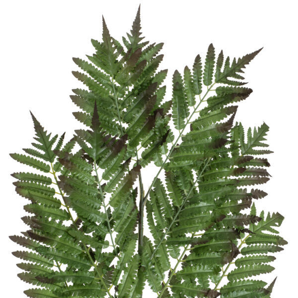 GloboStar® Artificial Garden ALSOPHILA FERN LEAF 20178 Τεχνητό Διακοσμητικό Φύλο Φτέρης Π60 x Υ180cm - Image 2