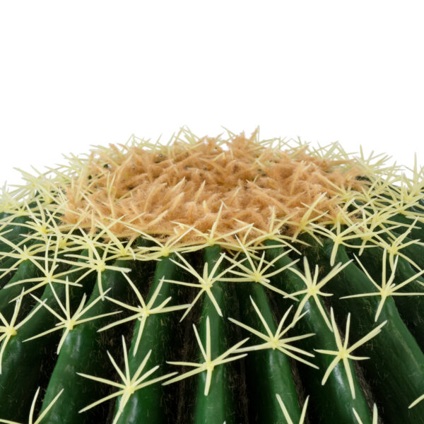 GloboStar® Artificial Garden FEROCACTUS 20191 Τεχνητό Διακοσμητικό Φυτό Φερόκακτος Υ50cm - Image 3