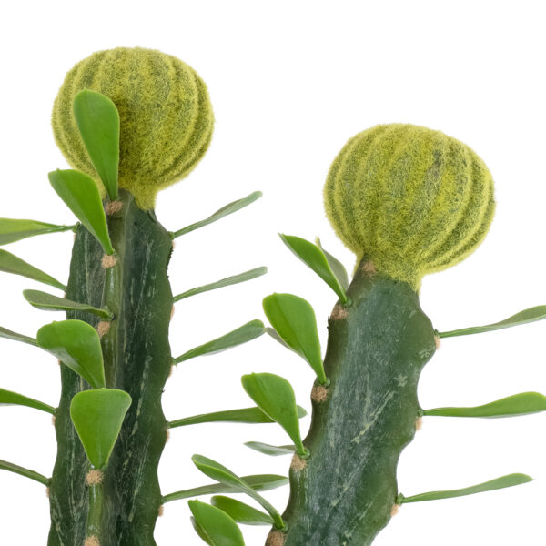 GloboStar® Artificial Garden CEREUS JAMACARU CACTUS 20193 Τεχνητό Διακοσμητικό Φυτό Κάκτος Κηρίος Υ120cm - Image 3