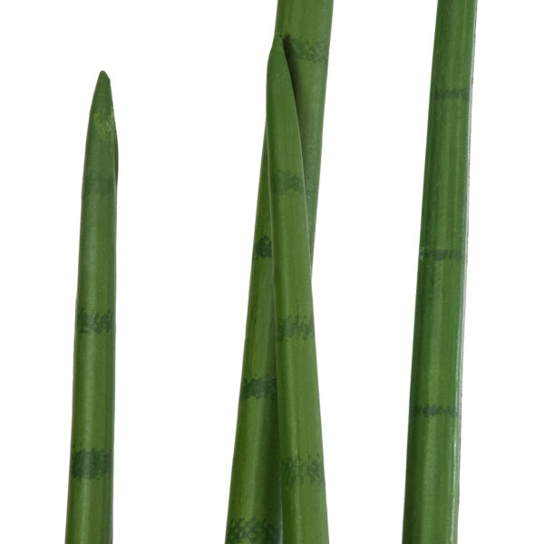 GloboStar® Artificial Garden SANSEVIERIA CYLINDRICA 20210 Τεχνητό Διακοσμητικό Φυτό Σανσεβιέρια Υ120cm - Image 2