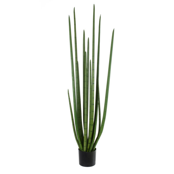 GloboStar® Artificial Garden SANSEVIERIA CYLINDRICA 20211 Τεχνητό Διακοσμητικό Φυτό Σανσεβιέρια Υ160cm