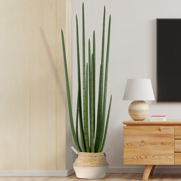 GloboStar® Artificial Garden SANSEVIERIA CYLINDRICA 20211 Τεχνητό Διακοσμητικό Φυτό Σανσεβιέρια Υ160cm - Image 7