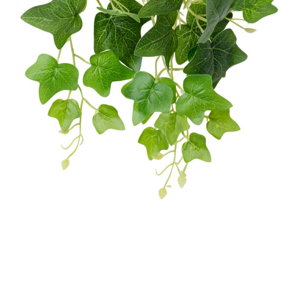 GloboStar® Artificial Garden IVY HANGING BRANCH 20253 Τεχνητό Διακοσμητικό Κρεμαστό Φυτό Κισσός Υ130cm - Image 2