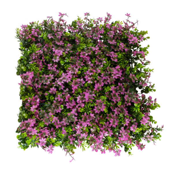 GloboStar® Artificial Garden CYPHEA HYSSOPIFOLIA 20350 Τεχνητό Διακοσμητικό Πάνελ Λουλουδιών - Κάθετος Κήπος σύνθεση Άνθος Κουφέας Μ50 x Π50 x Υ11cm - Image 3