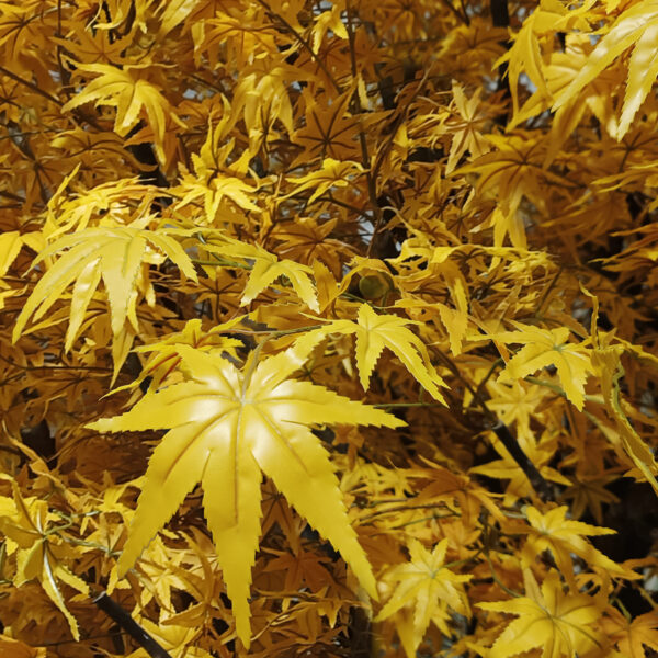 GloboStar® Artificial Garden WINTER MAPLE TREE 20364 Τεχνητό Διακοσμητικό Δέντρο Χειμωνιάτικος Σφένδαμος Υ350cm - Image 2