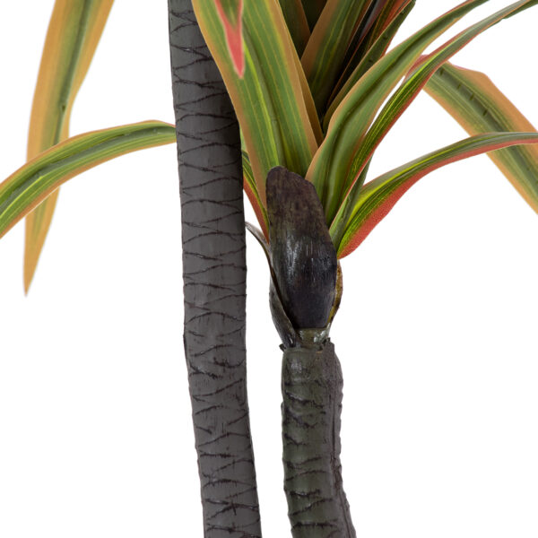 GloboStar® Artificial Garden DRAGON BLOOD TREE 20370 - Τεχνητό Διακοσμητικό Φυτό Δράκαινα Υ150cm - Image 3