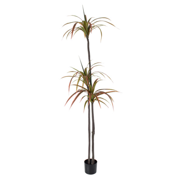 GloboStar® Artificial Garden DRAGON BLOOD TREE 20371 - Τεχνητό Διακοσμητικό Φυτό Δράκαινα Υ220cm