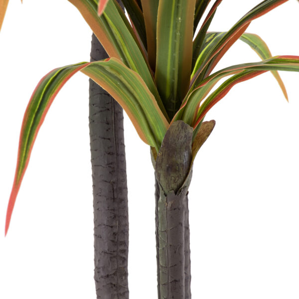 GloboStar® Artificial Garden DRAGON BLOOD TREE 20371 - Τεχνητό Διακοσμητικό Φυτό Δράκαινα Υ220cm - Image 3