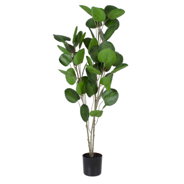 GloboStar® Artificial Garden POLYSCIAS BALFOURIANA TREE 20374 Τεχνητό Διακοσμητικό Φυτό Πολυσκιά Υ110cm