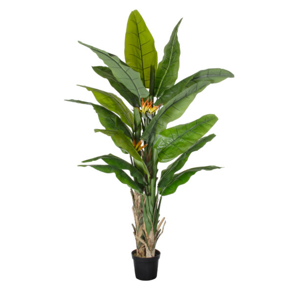 GloboStar® Artificial Garden BANANA STRELITZIA REGINAE 20381 - Τεχνητό Διακοσμητικό Φυτό  Μπανανιά - Στρελίτσια - Πουλί του Παραδείσου Υ230cm