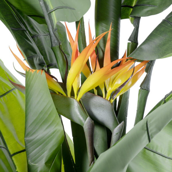 GloboStar® Artificial Garden BANANA STRELITZIA REGINAE 20381 - Τεχνητό Διακοσμητικό Φυτό  Μπανανιά - Στρελίτσια - Πουλί του Παραδείσου Υ230cm - Image 3