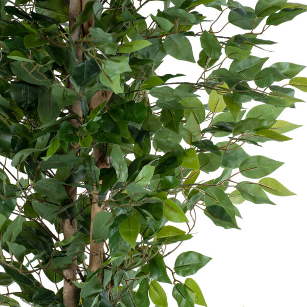 GloboStar® Artificial Garden FICUS BENJAMINA TREE 20417 Τεχνητό Διακοσμητικό Φυτό Φίκος Μπενζαμίνη Υ210cm - Image 2