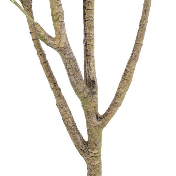 GloboStar® Artificial Garden OLIVE TREE 20423 Τεχνητό Διακοσμητικό Δέντρο Ελιά Υ170cm - Image 3