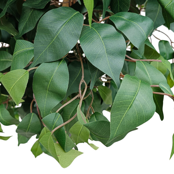 GloboStar® Artificial Garden FICUS BENJAMINA TREE 20431 Τεχνητό Διακοσμητικό Φυτό Φίκος Μπενζαμίνη Υ210cm - Image 2