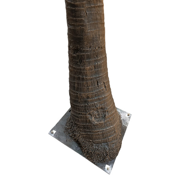 GloboStar® Artificial Garden COCONUT PALM TREE 20442 Τεχνητό Διακοσμητικό Φοινικόδεντρο Κοκοφοίνικας Εξωτερικού Χώρου IP68 UV Certified Protection Υ400cm - Image 2