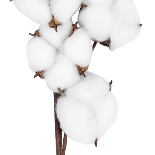 GloboStar® Artificial Garden COTTON BRANCH 20558 Τεχνητό Διακοσμητικό Κλαδί βαμβάκι Υ45cm - Image 3