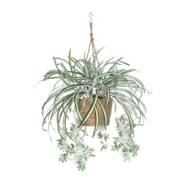 GloboStar® Artificial Garden CHLOROPHYTUM COMOSUM HANGING PLANT 20638 Τεχνητό Κρεμαστό Διακοσμητικό Χλωρόφυτο  Y50cm - Image 2