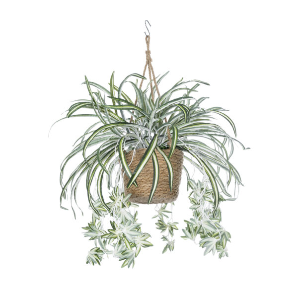 GloboStar® Artificial Garden CHLOROPHYTUM COMOSUM HANGING PLANT 20638 Τεχνητό Κρεμαστό Διακοσμητικό Χλωρόφυτο  Y50cm - Image 3