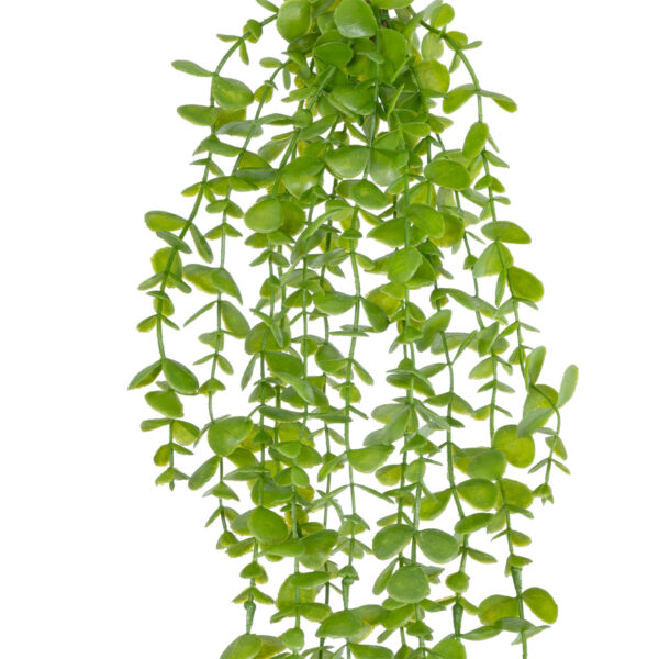 GloboStar® Artificial Garden HANGING EUCALYPTUS 20809 Τεχνητό Διακοσμητικό Κρεμαστό Φυτό Ευκάλυπτος Μ16 x Π9 x Υ105cm - Image 2