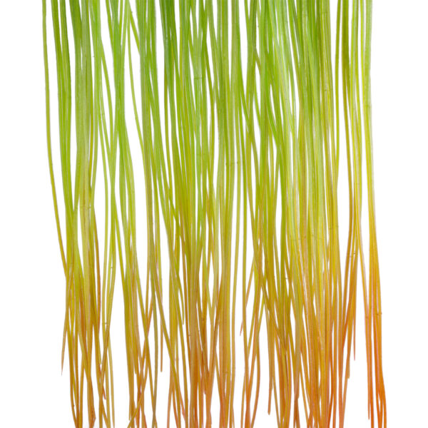 GloboStar® Artificial Garden HANGING GRASS 20815 Τεχνητό Διακοσμητικό Κρεμαστό Φυτό Grass Μ18 x Π4 x Υ81cm - Image 2