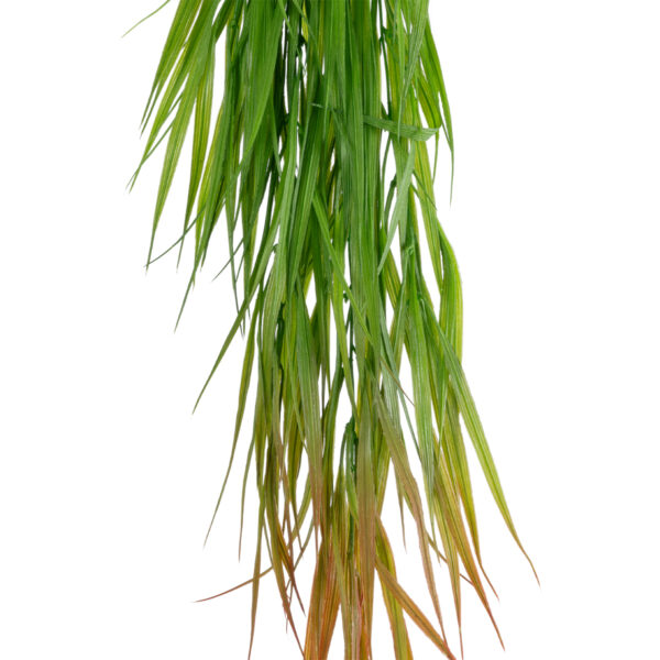 GloboStar® Artificial Garden HANGING CORN GRASS  20826 Τεχνητό Διακοσμητικό Κρεμαστό κλαδί Καλαμπόκι Μ23 x Π10 x Υ91cm - Image 2