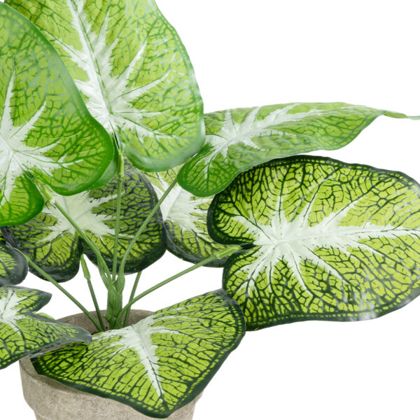 GloboStar® Artificial Garden CALADIUM POTTED PLANT 20894 Διακοσμητικό Φυτό Καλάντιουμ Φ40 x Υ33cm - Image 2