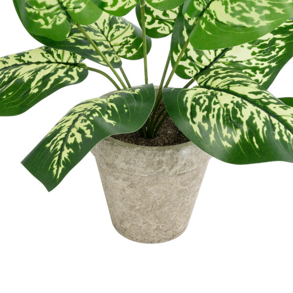 GloboStar® Artificial Garden DIEFFENBACHIA POTTED PLANT 20897 Διακοσμητικό Φυτό Διεφενμπάχια Φ40 x Υ33cm - Image 3